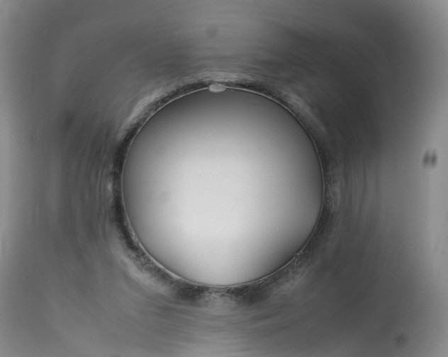 X0000113070207200909110948