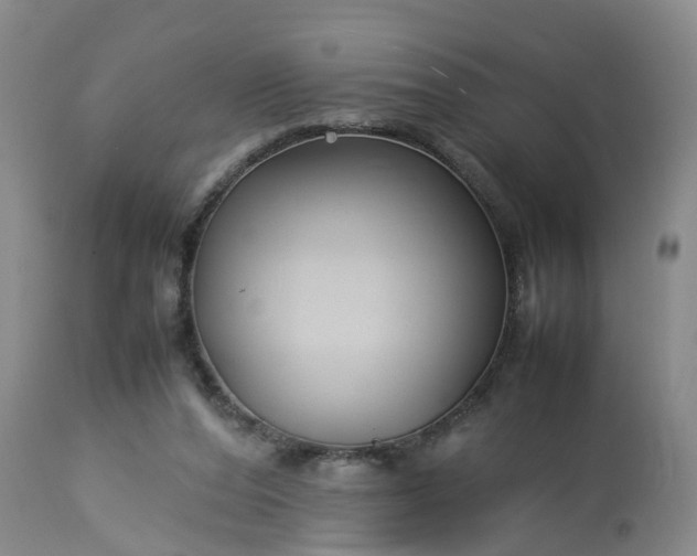 X0000113070208200909110948