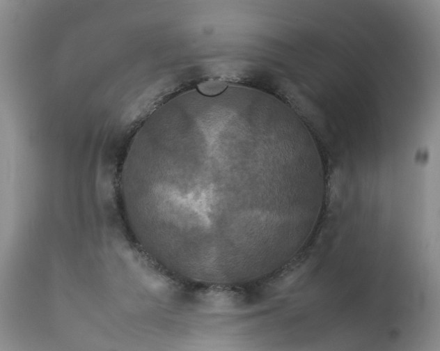 X0000113070209200909110948