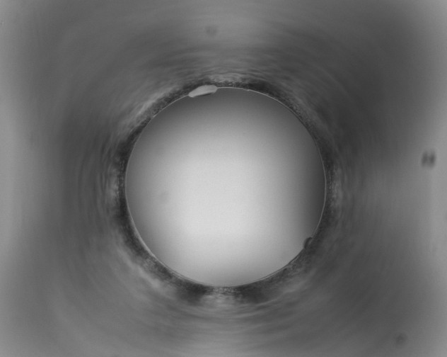 X0000113070211200909110948