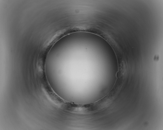 X0000113070212200909110948