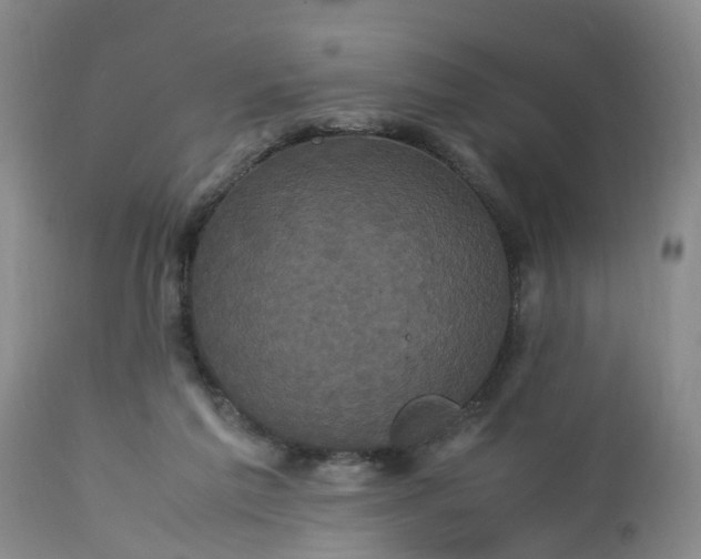 X0000113070213200909110948