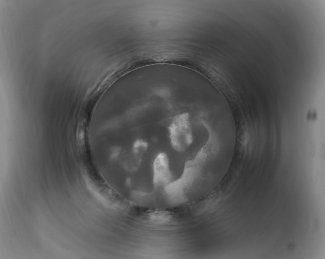 X0000113070214200909110948