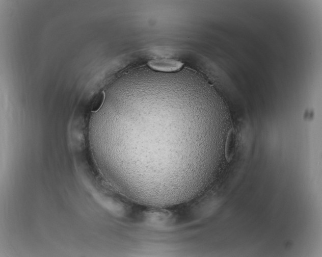 X0000113070215200909110948