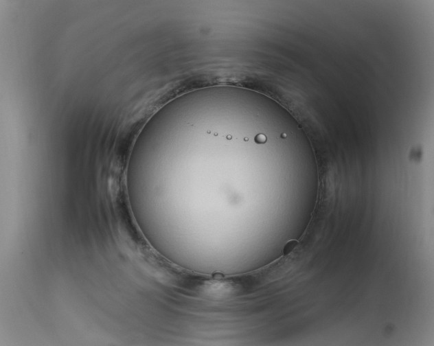 X0000113070218200909110948