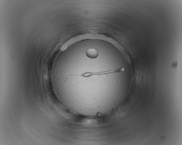 X0000113070220200909110948