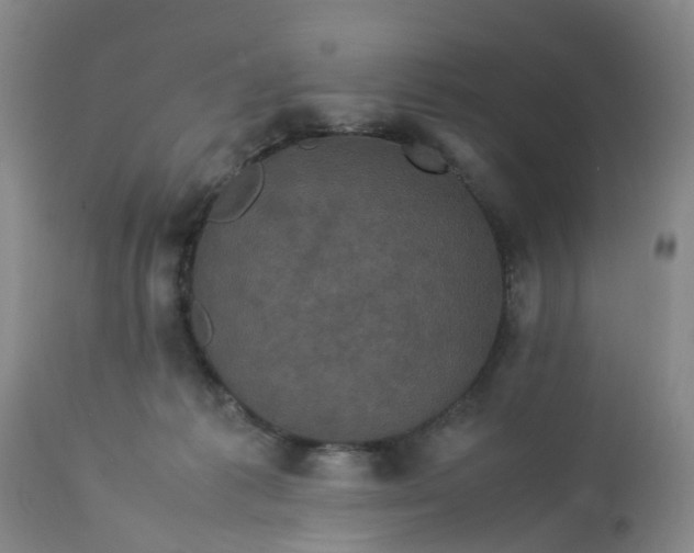 X0000113070221200909110948