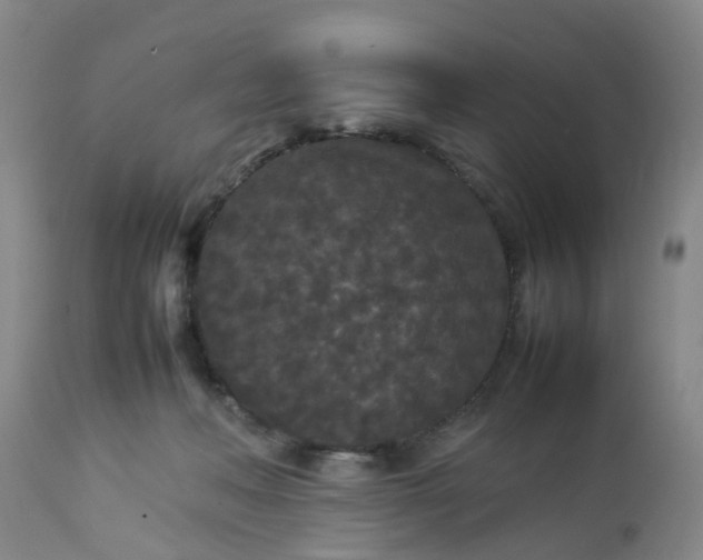 X0000113070222200909110948