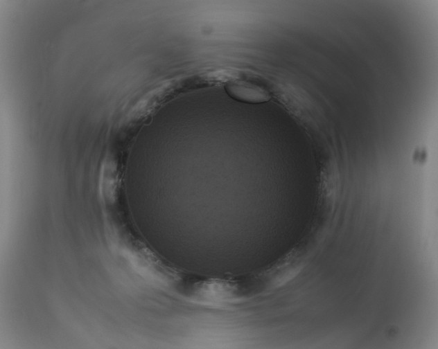 X0000113070223200909110948