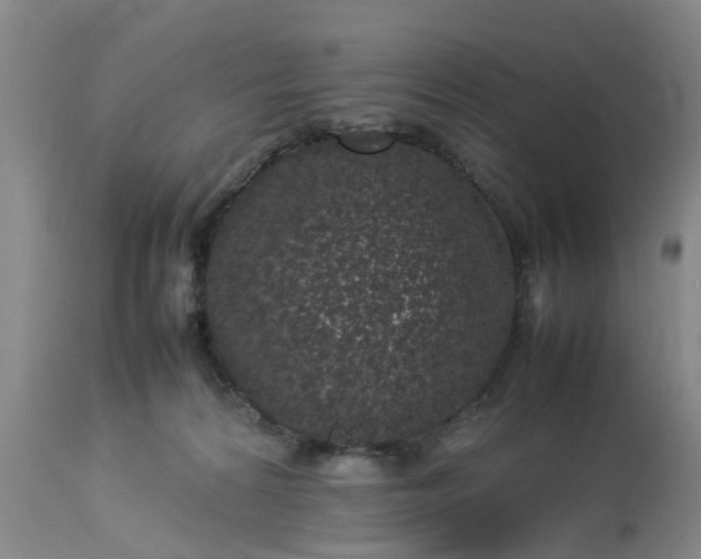 X0000113070224200909110948