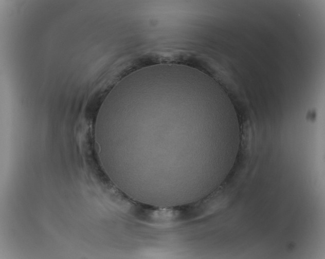 X0000113070225200909110948