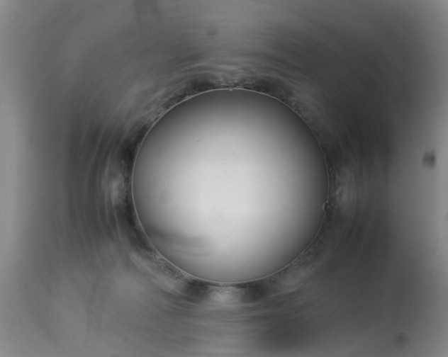 X0000113070226200909110948