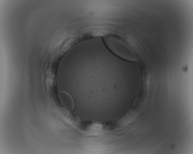 X0000113070227200909110948