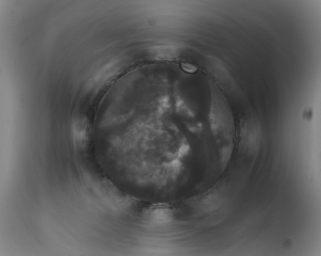 X0000113070228200909110947