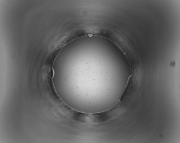 X0000113070229200909110947