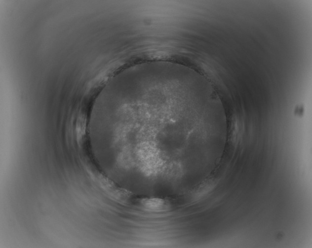 X0000113070230200909110947