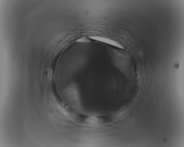 X0000113070231200909110947