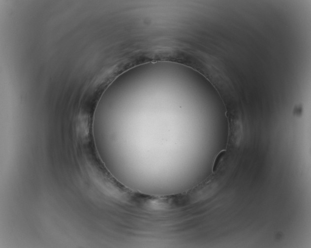 X0000113070232200909110947