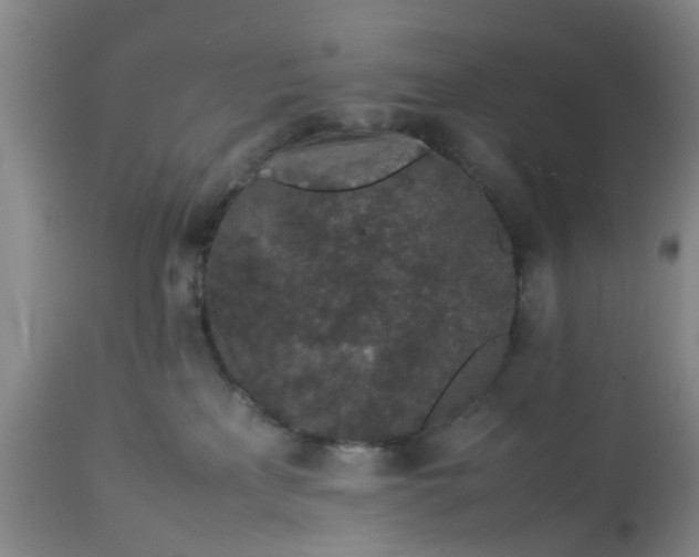 X0000113070233200909110947