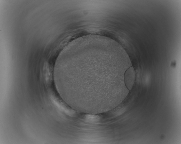 X0000113070234200909110947