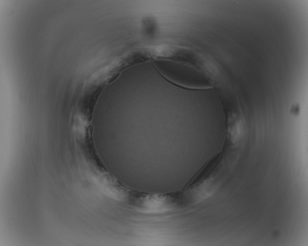 X0000113070235200909110947