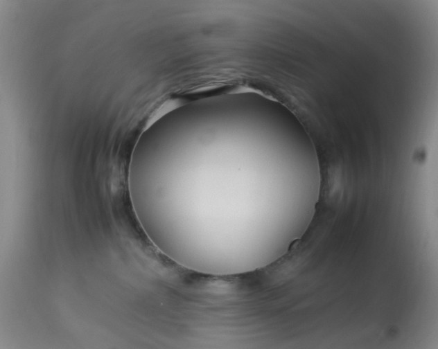 X0000113070236200909110947