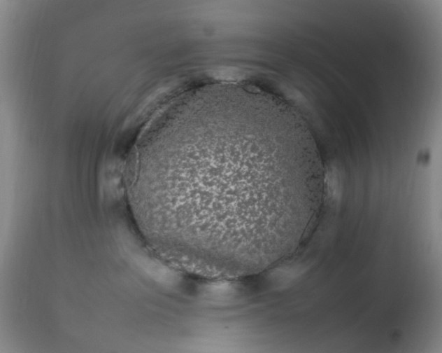 X0000113070237200909110947