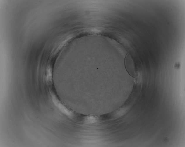 X0000113070238200909110947