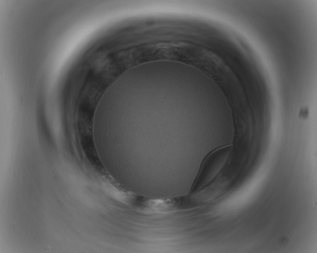 X0000113070239200909110947