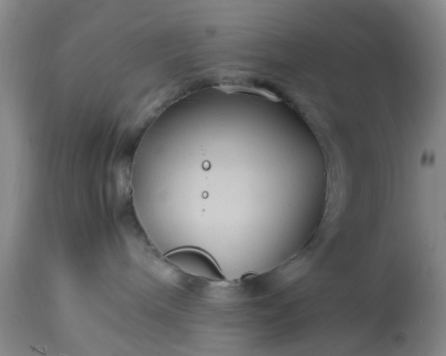 X0000113070240200909110947