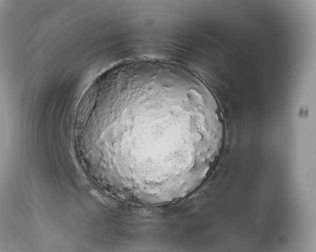 X0000113070241200909110946