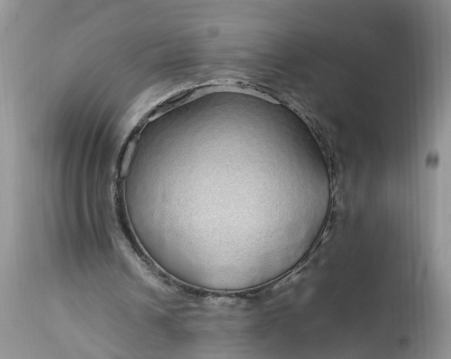 X0000113070242200909110947