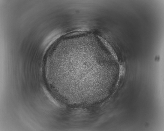 X0000113070243200909110947