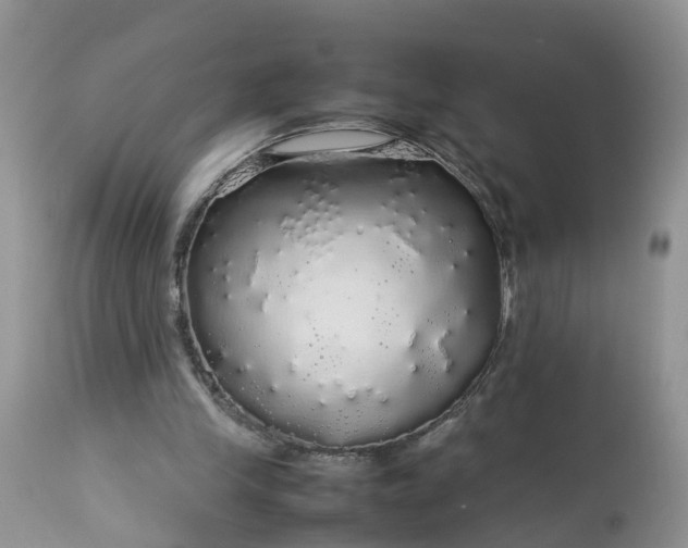 X0000113070245200909110947