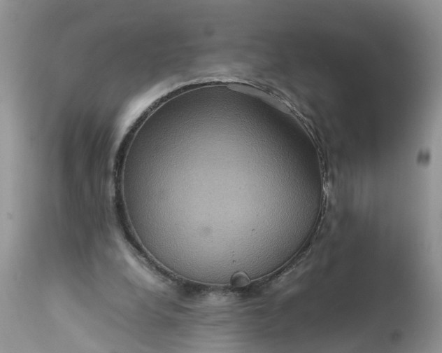 X0000113070248200909110947