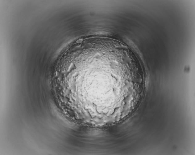 X0000113070249200909110947