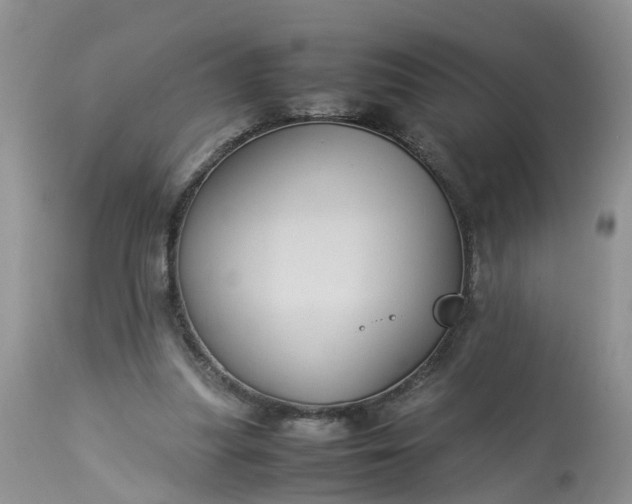 X0000113070251200909110947