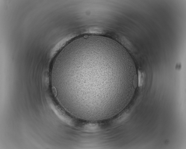 X0000113070252200909110947