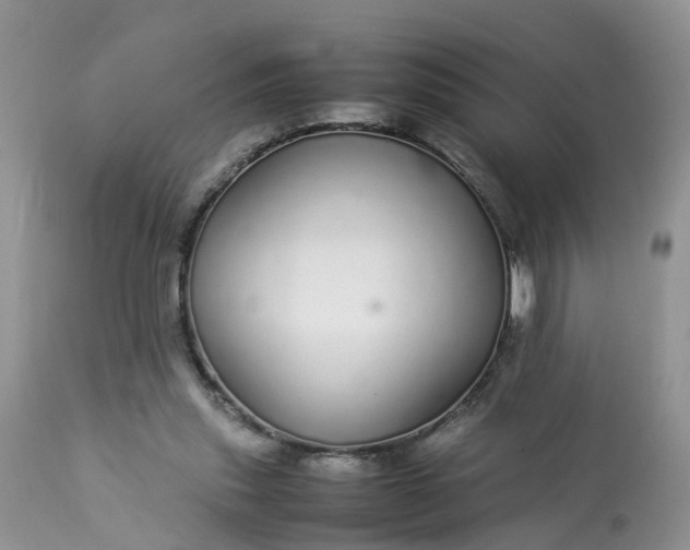 X0000113070253200909110947