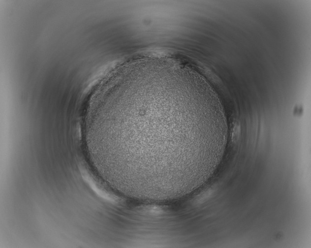 X0000113070254200909110947