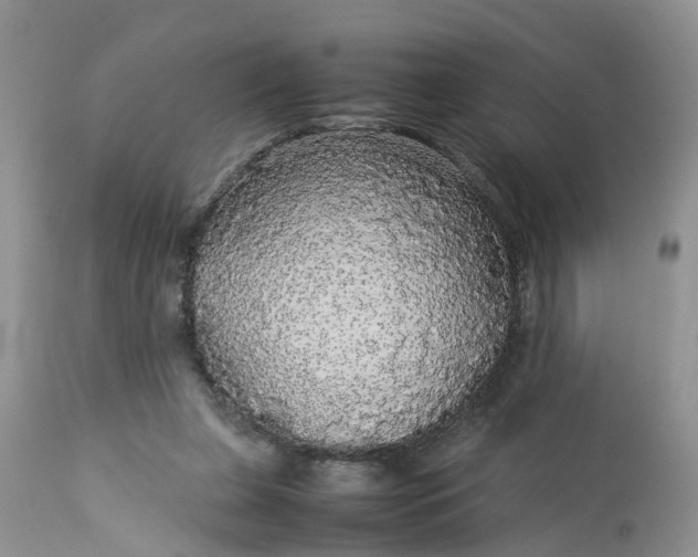 X0000113070255200909110947