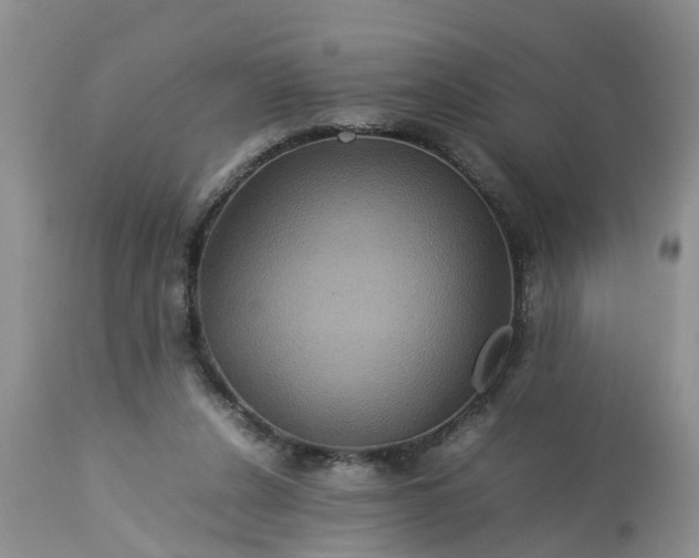 X0000113070256200909110947