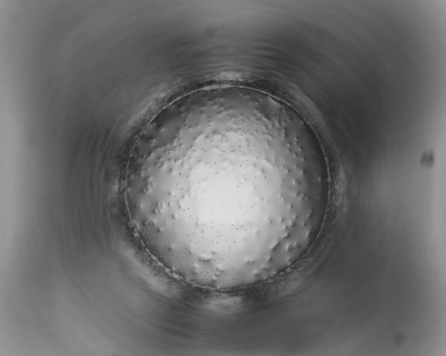 X0000113070257200909110947