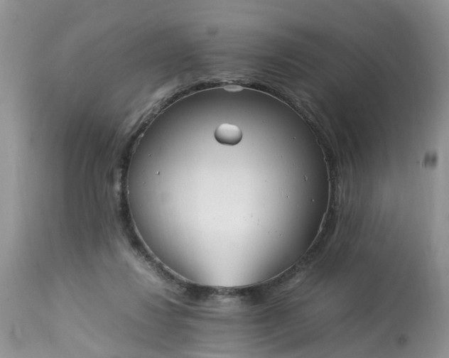 X0000113070260200909110947