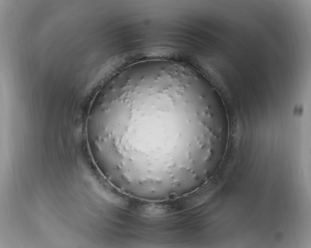 X0000113070261200909110947