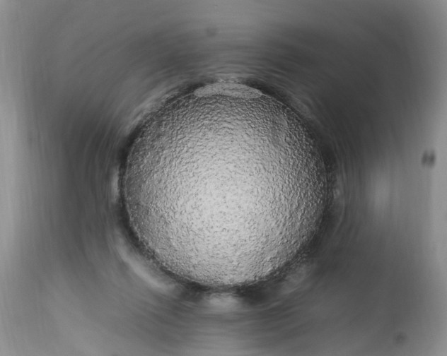 X0000113070262200909110947