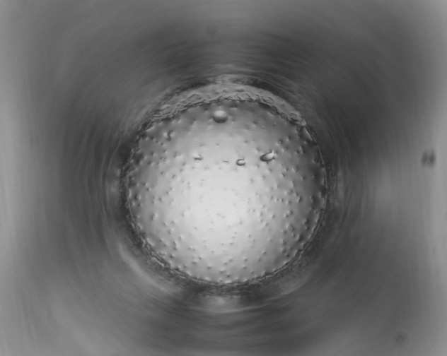 X0000113070263200909110947