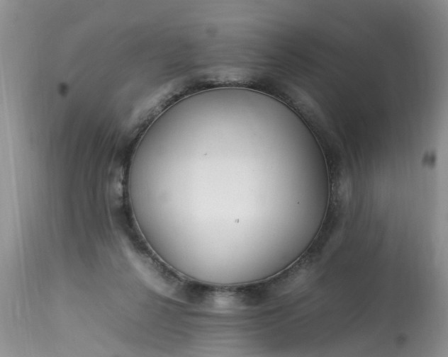 X0000113070264200909110947