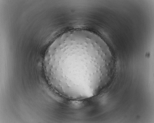 X0000113070265200909110947