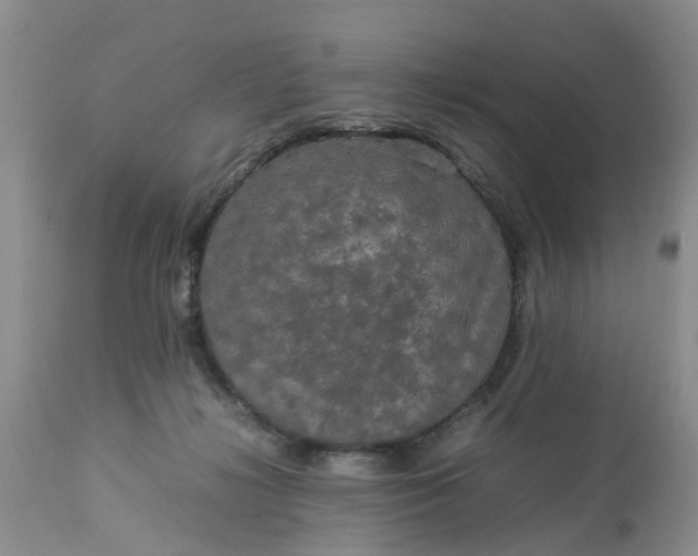 X0000113070268200909110947